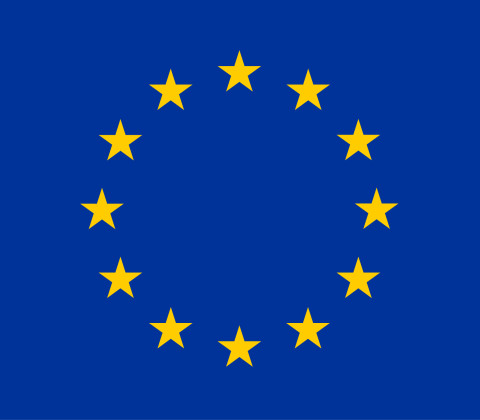 EU Vlag