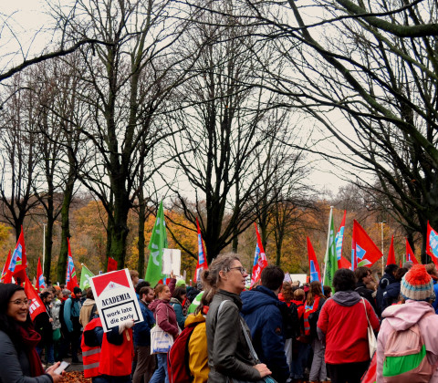 Protest tegen de onderwijsbezuinigingen op het Malieveld